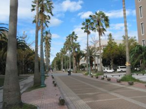 鹿児島大学キャンパス-今見るとやはり南国っぽいですね